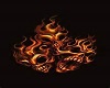 skull raido