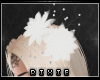 His Bride Headpiece