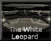 [my]The White Leopard NC