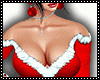 Christmas Bundle