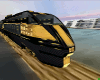 CoCo Train 24kt Gold~MXM