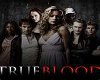 True blood (The Cast)