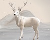 Winter White Deer
