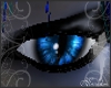 ((MA)) Blue CatEyes {M}