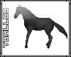 Black Rideable Horse