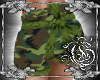 {G}Camouflage Shorts