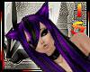 Chestire Purple Purry