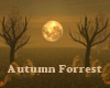 Autumn Forrest Deco
