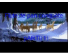 FLUTE DE PAN PARADIS(1)