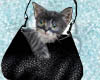 [AB]Her Cat in Bag