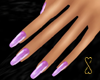 ![T] Elegant Pink 28