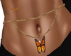 Monarch Butterfly Belly