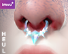 NHC - Hol 3Septum