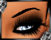 BLUE EYEBROW