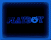 *PlayBoy*blue swing