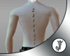 -JCP- J Piercing Spine