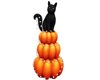 Pumpkin Cat White