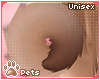 [Pets] Nena | tail v2