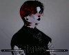 R| Good boy 200%