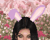 Easter Ears Lilac
