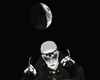 Phases of the Moon