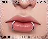 S| Silver Lip Rings