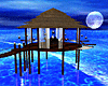 Moonlight Tiki Hut