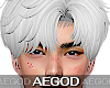 Ⲁ𝓖 White Wavy Hair
