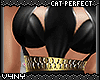 V4NY|Cat Perfect