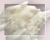 Nursery Fur