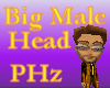 PHz ~ Big Male Head