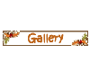 Gallery-Thanksgiving