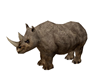Animated Rhino