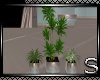 !!Pure Potted Plant 2