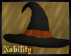 Halloween Witch Hat