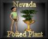 [my]Nevada Plant in Pot