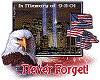 Remembering 9/11 Pic