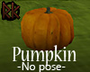 [RK]Pumpkin