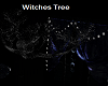 Witches Tree Branches