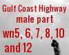 Gulf Coast Highway Male