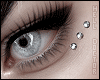 ! Gothic Set - Zell