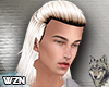 wzn Warrior Platinium