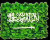 saudi flag sticker