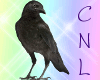 [CNL] Crow filler