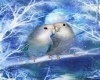 LoveBird Painting