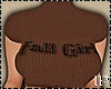 Brown Wool Fall Top