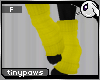 ~Dc) TinyPaws : Yellow