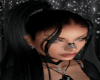Willa Midnight