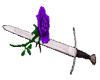 (SW)rose sword