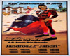 CARTEL TOROS JANDROS22